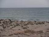 M19 S1 L56 Los Cirios Puerto Libertad - Photo 22