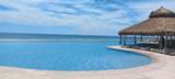 1005 Las Palomas, Ph3 - Photo 7