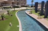 902 Las Palomas - Photo 14