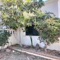F/6 M117 Nuevo Leon - Photo 23