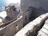 M24 L13 Pez Martillo Cholla Bay - Photo 17