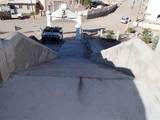 M24 L13 Pez Martillo Cholla Bay - Photo 18