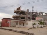 M24 L13 Pez Martillo Cholla Bay - Photo 2