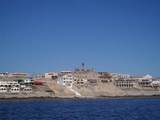 M24 L13 Pez Martillo Cholla Bay - Photo 22