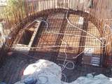 M24 L13 Pez Martillo Cholla Bay - Photo 27