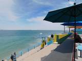 M2 L10 Av. Punta Pelicano - Photo 15