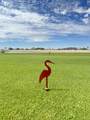 A10 Eagle Village, Islas Del  Mar - Photo 10