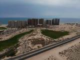 L19 Las Palomas - Photo 2