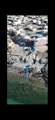M26 L15 Calle N Cholla Bay - Photo 3