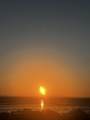 M69 L12 Calle  E Cholla Bay - Photo 1
