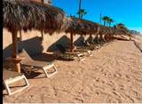 311 Sonoran Sun - Photo 19