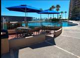 311 Sonoran Sun - Photo 23