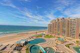 703 Las Palomas - Photo 25