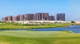 307 Las Palomas - Photo 26
