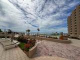806 Las Palomas - Photo 44