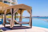1007 Las Palomas - Photo 41