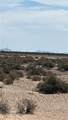 12c 28014 Encantame - Photo 3