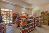 612 Sonoran Sun Resort - Photo 49