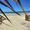 S20 L30 Playa Dorada - Photo 48