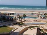 G 304 PH2 Las Palomas Resort - Photo 25