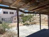 M23 L9A Pez Martillo Cholla Bay - Photo 3