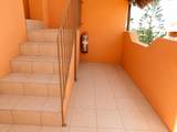 302 D Ave Sinaloa & Primo De Verdad - Photo 21