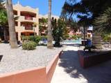302 D Ave Sinaloa & Primo De Verdad - Photo 26