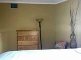 203 Pinacate - Photo 10