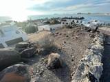 M- L H C. El Andador Whale Hill - Photo 10