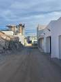 M- L H C. El Andador Whale Hill - Photo 3