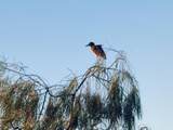 MB2 L6 Vista Dorada, Islas Del Mar - Photo 64