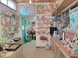 114 Seashell Museum C. Ramon Fig - Photo 16