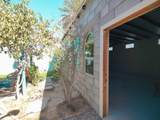 114 Seashell Museum C. Ramon Fig - Photo 35