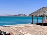 M42 L36 Av. Calamar - Photo 32
