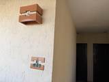 609 Sonoran Sea, Sandy Beach - Photo 12