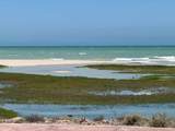 71 M 1BIS Camino De Laguna Shores Y Cara - Photo 52