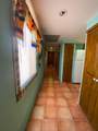 A 104 Av Jalisco, Colonia Puerto - Photo 21