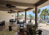 205 Las Palmas - Photo 33