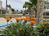 205 Las Palmas - Photo 41
