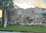 205 Las Palmas - Photo 47