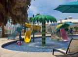 205 Las Palmas - Photo 51