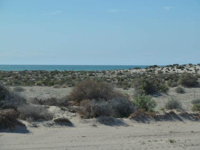 https://bt-photos.global.ssl.fastly.net/penasco/orig_boomver_1_14-871-2.jpg