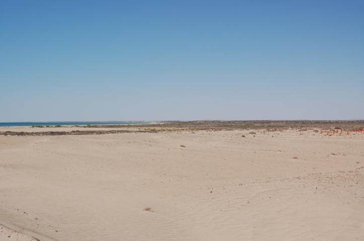 https://bt-photos.global.ssl.fastly.net/penasco/orig_boomver_1_17-725-2.jpg