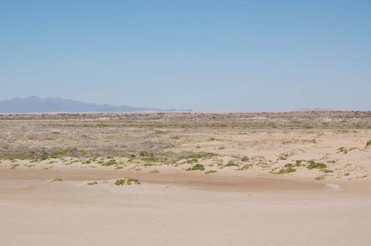 https://bt-photos.global.ssl.fastly.net/penasco/orig_boomver_1_17-725-2.jpg