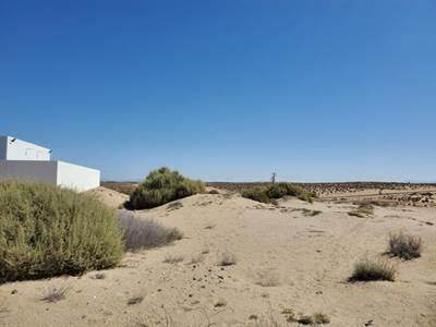 S6 LFB-1 Ave Ostiones & Las Conchas - Photo 1