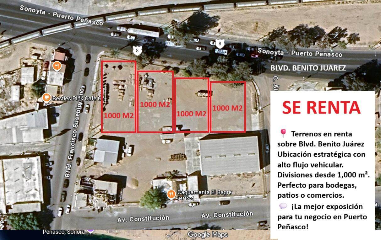 M19 L6 Blvd. Benito Juarez - Photo 1