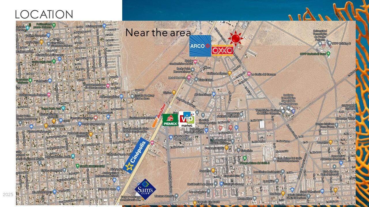 P30 L14 FR Blvd. Las Conchas - Photo 1