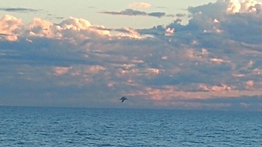 S8 L89B Viento Del Mar, Las Conchas - Photo 1