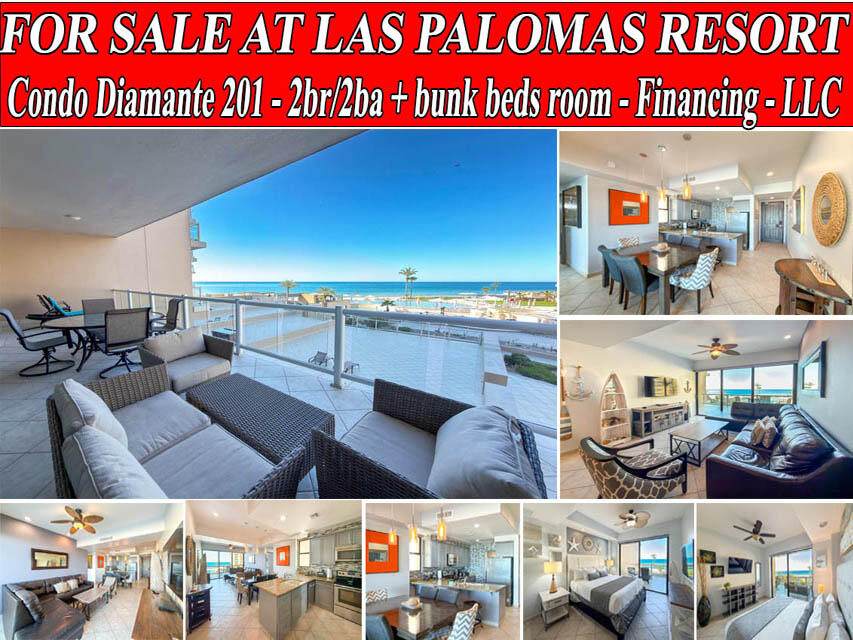 201 Las Palomas - Photo 1