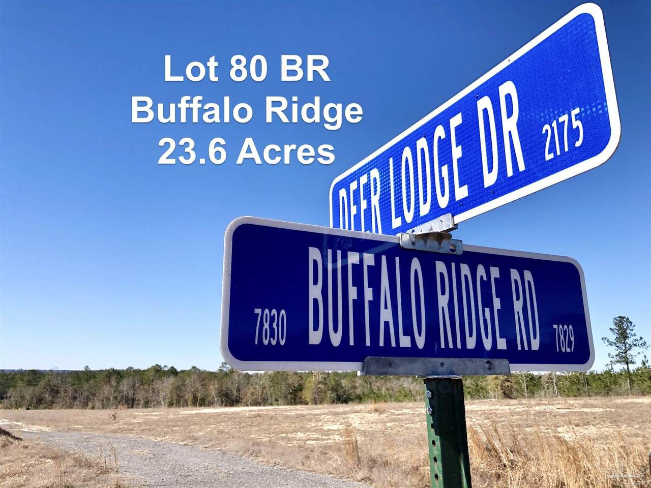Lot 80 BR Deer Lodge Dr - Photo 1